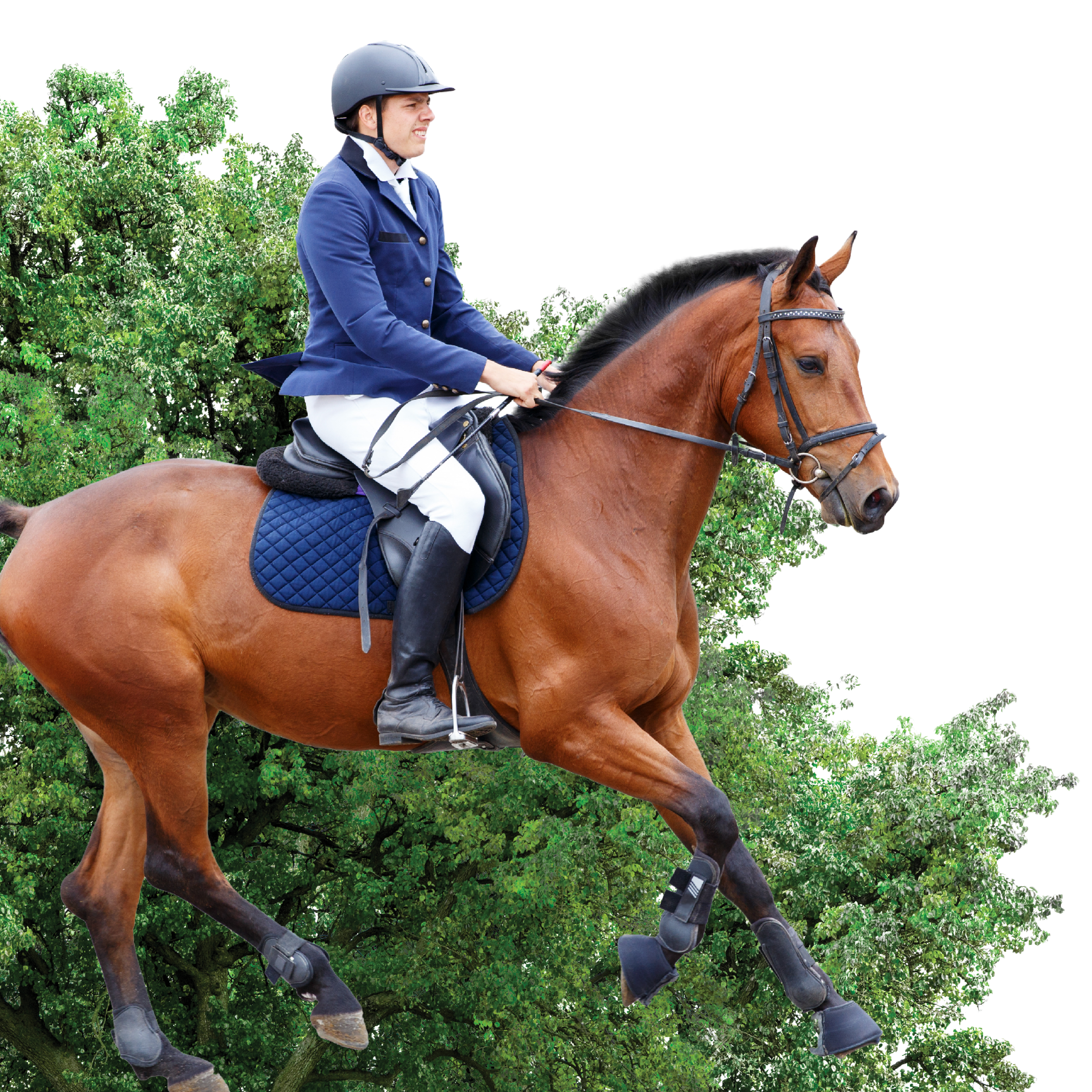 Person riding Horse