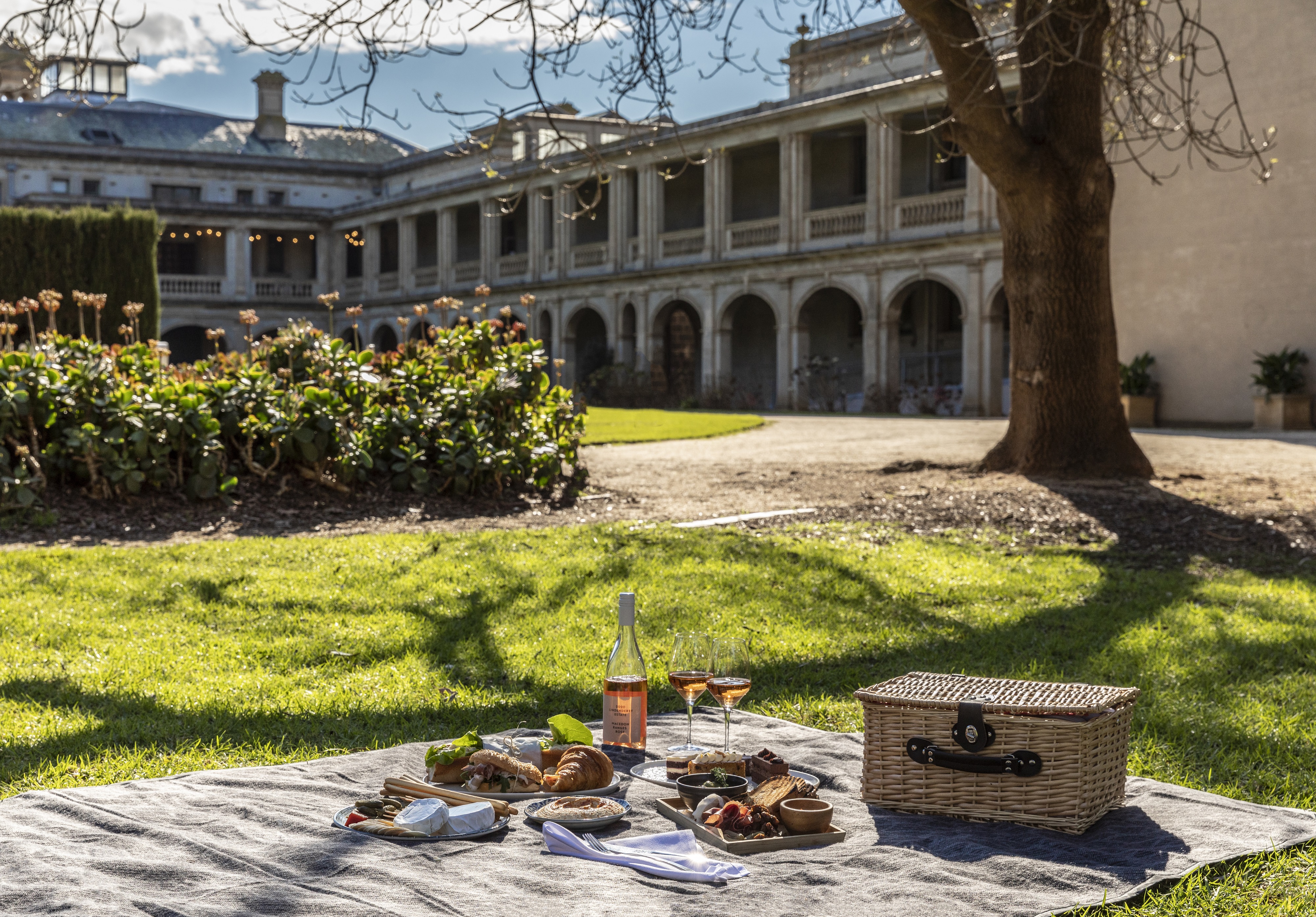 picnic
