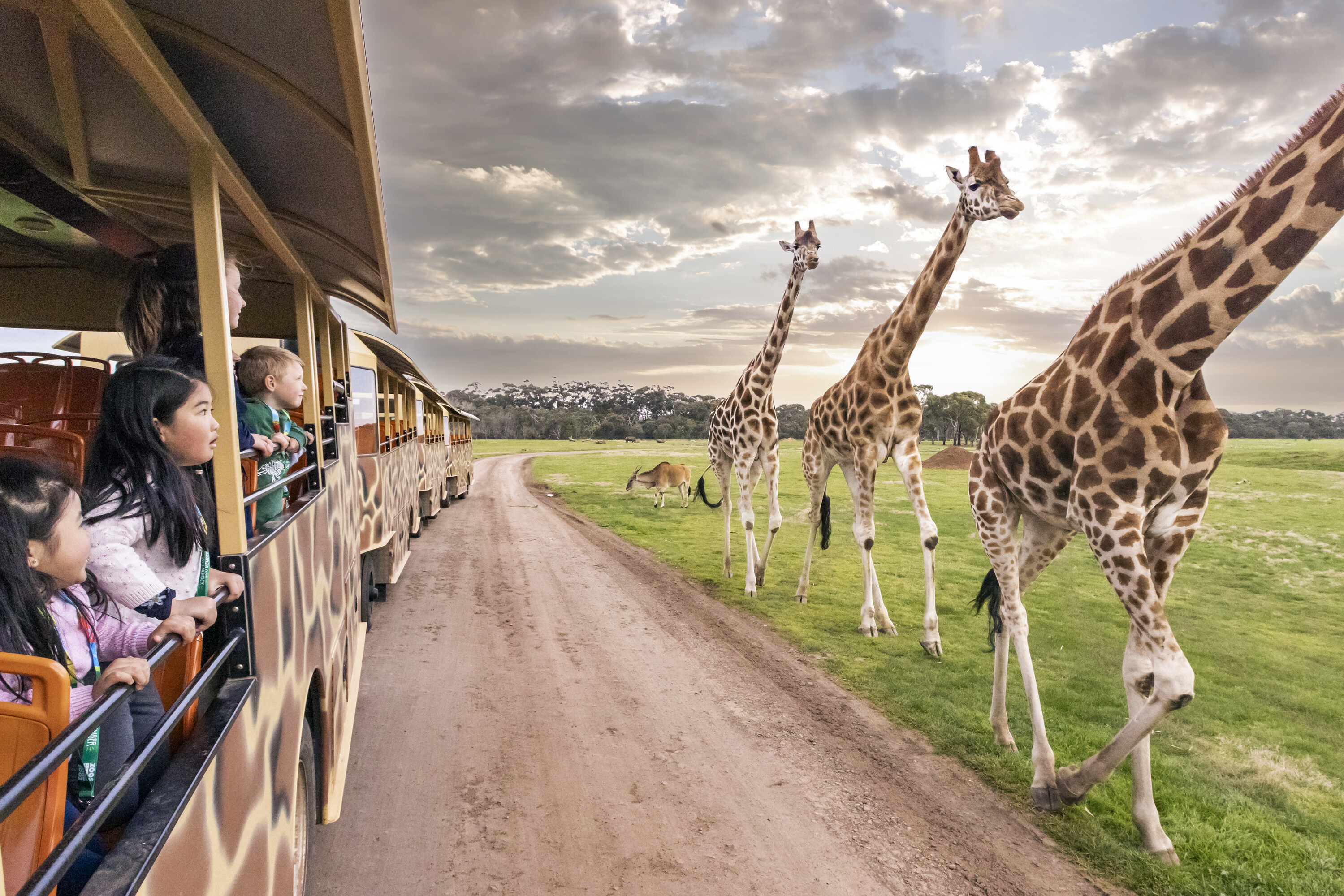 Zoo