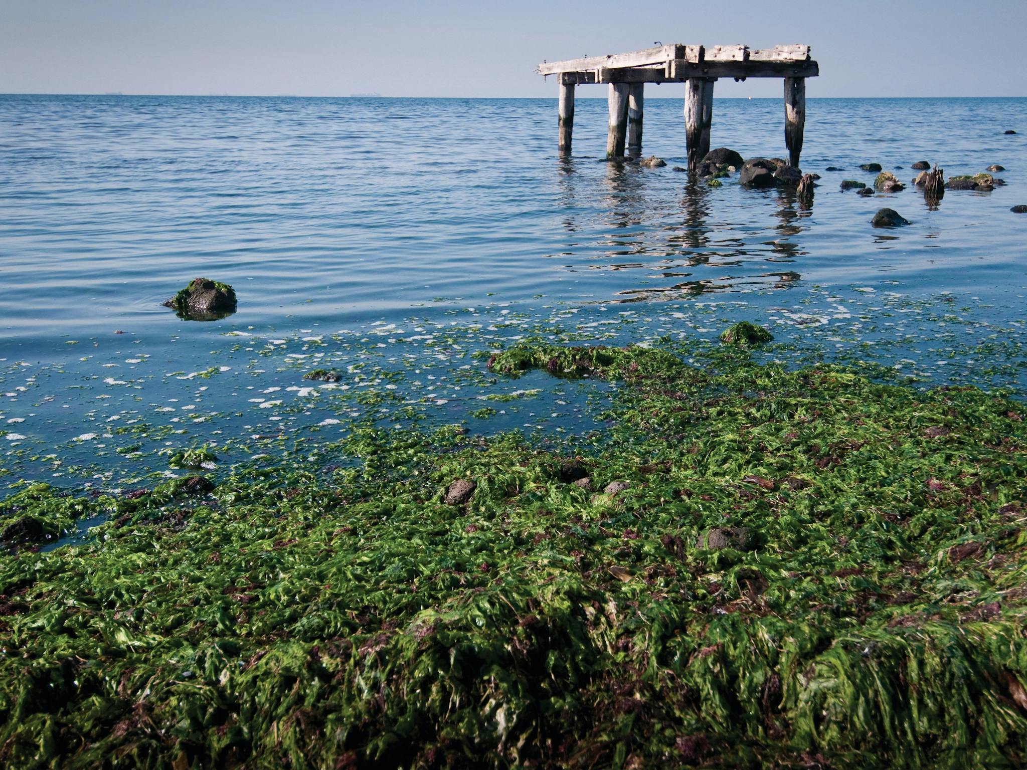 Point Cook Coastal Park Visit Werribee & Surrounds