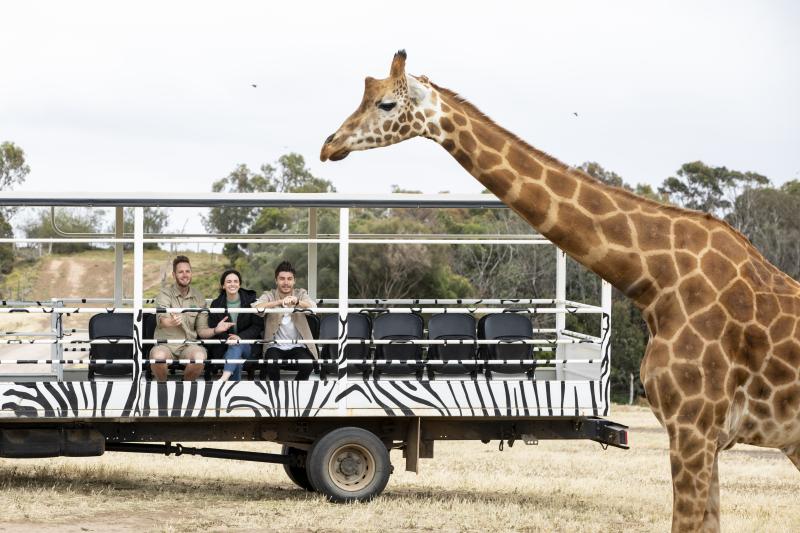 zoo