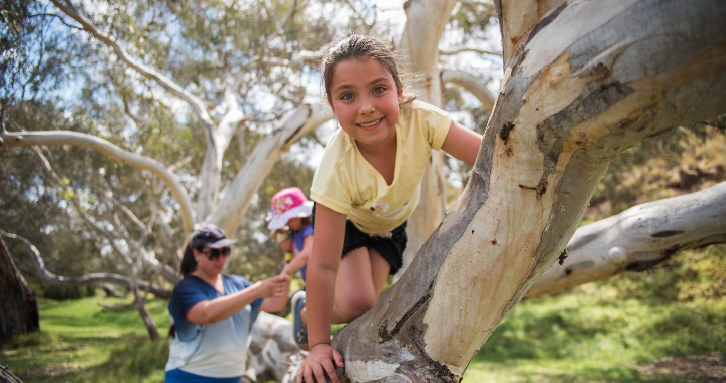 Family exploring and climbing a tree