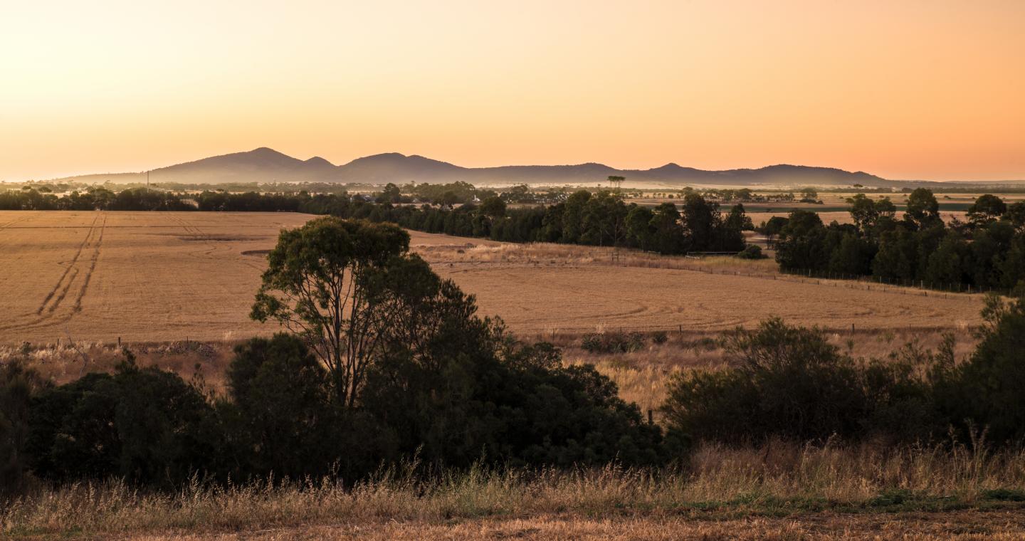 You Yangs in the distance