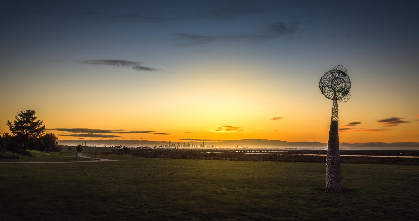 City view from Cheetham Wetlands