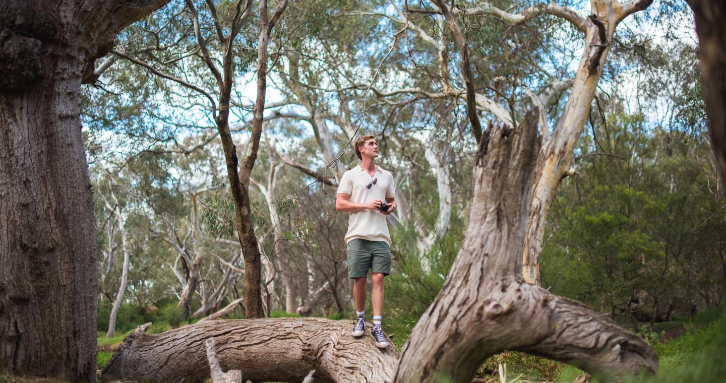 Man standing on tree