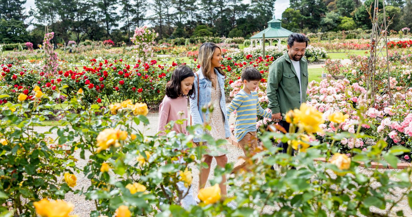 Family at rose garden