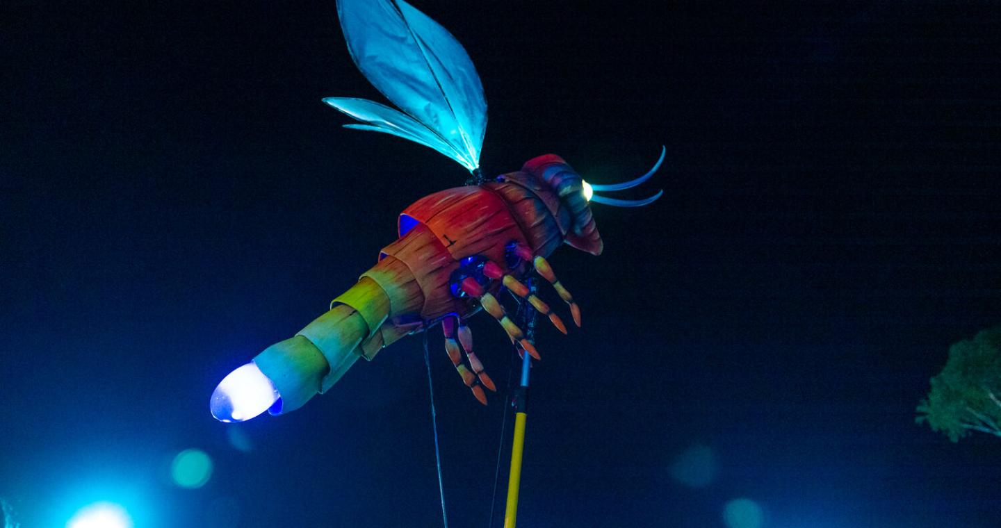 Firefly