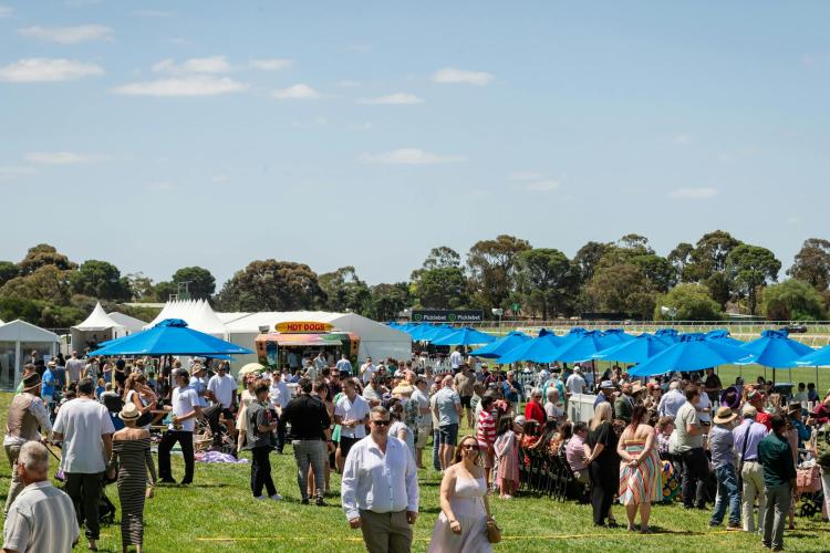 Public Lawn