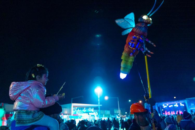 child on father's shoulders taking photos of a roving dragonfly performer at night