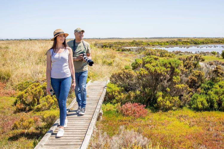 Adults walking in wetland area of Cheetham Wetlands