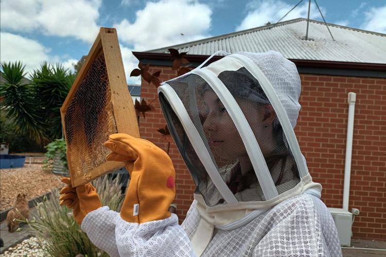 Learn about what the bees are telling us.