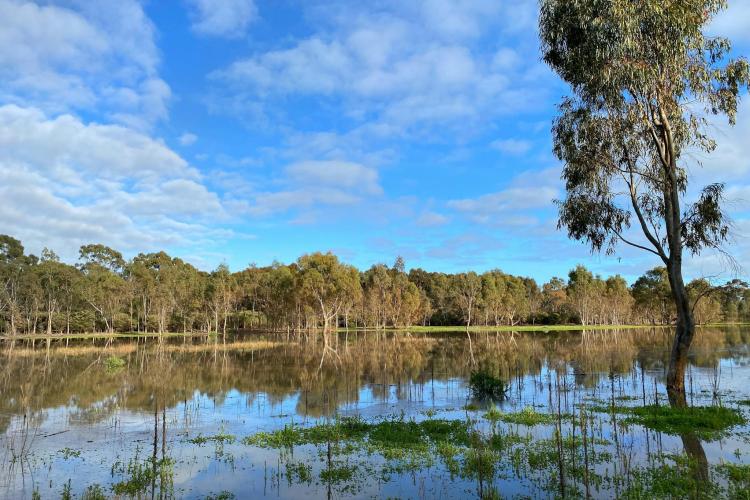A beautiful place to view the large variety of birdlife