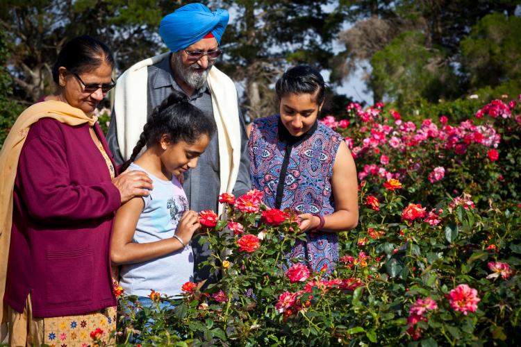 Werribee Park Rose Garden