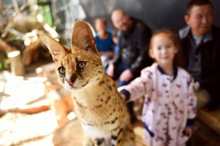 zoo