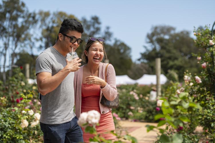 two adults laughing in amongst roses in Victoria State Rose Garden
