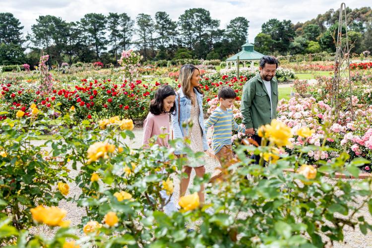 Family at rose garden