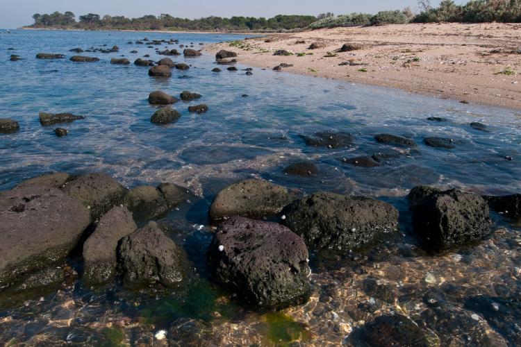 Point Cooke Marine Sanctuary