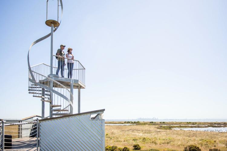 Looking out from observation tower at Cheetham Wetlands