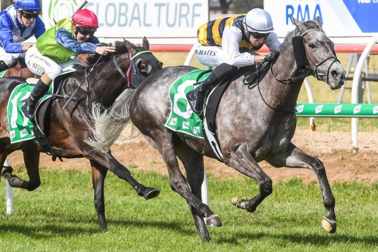 TAB Werribee Cup