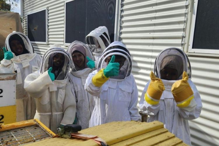 Get hands on, wear a suit, open a hive and touch the honeybees.