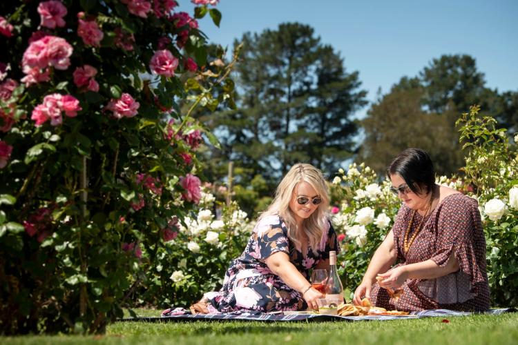 Picnic in the Victorian State Rose Garden