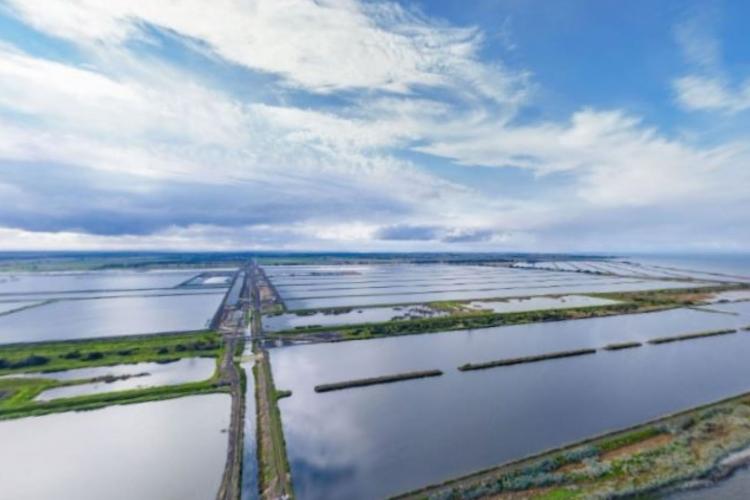 Lagoons at Western Treatment Plant