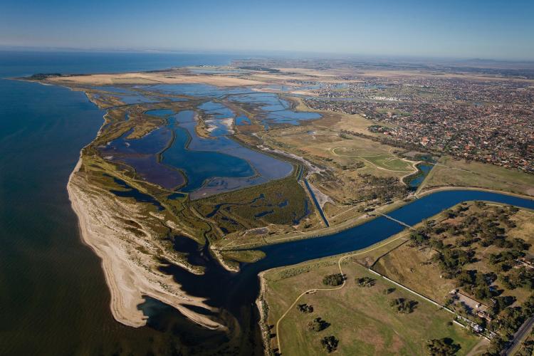 Cheetham Wetlands