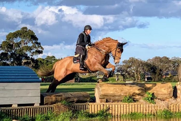 rider on a horse jumping over water obstacle