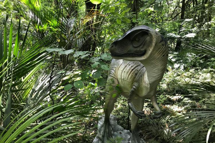 DinoFest