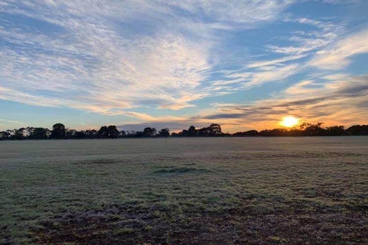 frosted grass surface on a winter morning