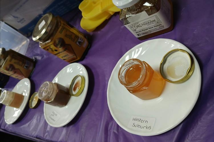 Taste honey.