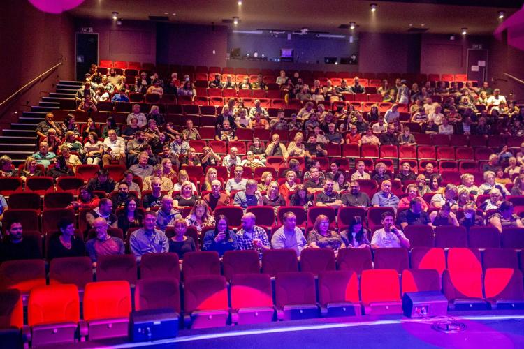 Audience watching performance