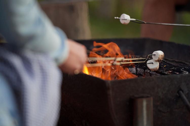 Marshmallows being cooked on fire