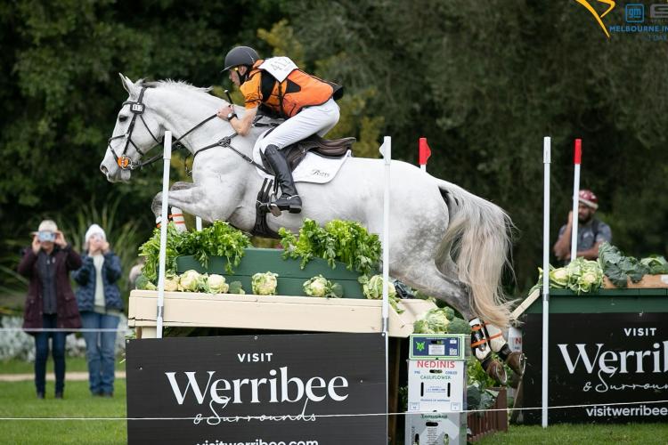 Visit Werribee and Surrounds branding