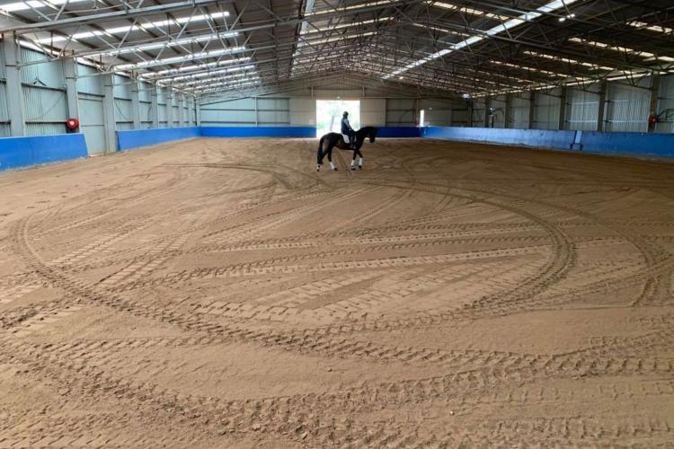 lone horse with rider in large arena