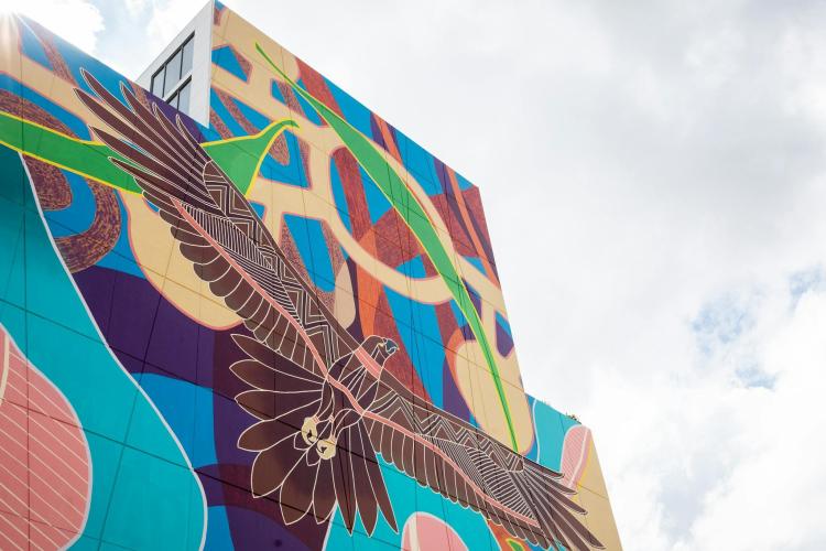 A large Indigenous mural featuring Bunjil on a building facade