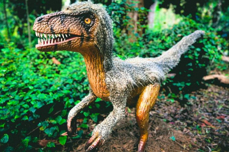 DinoFest