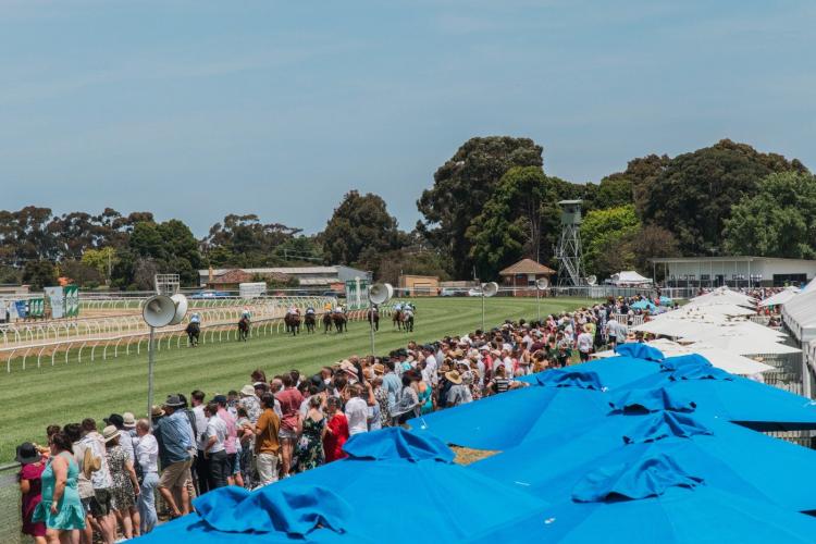 TAB Werribee Cup