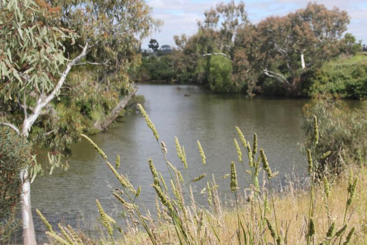 Werribee River - Visit Werribee & Surrounds