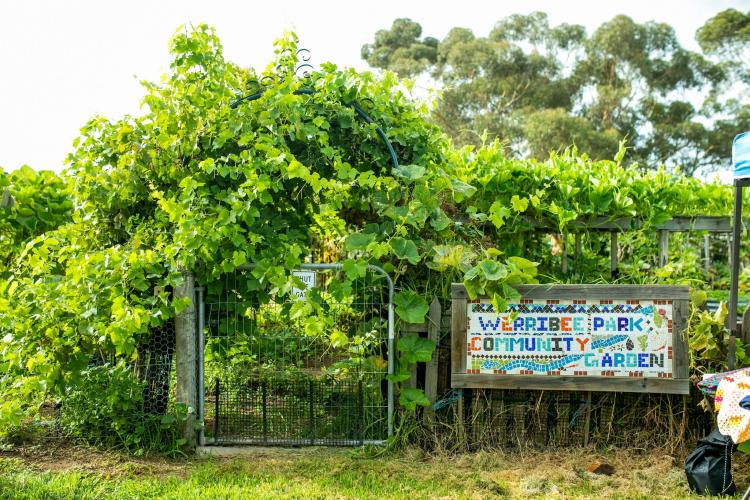 Veggie garden