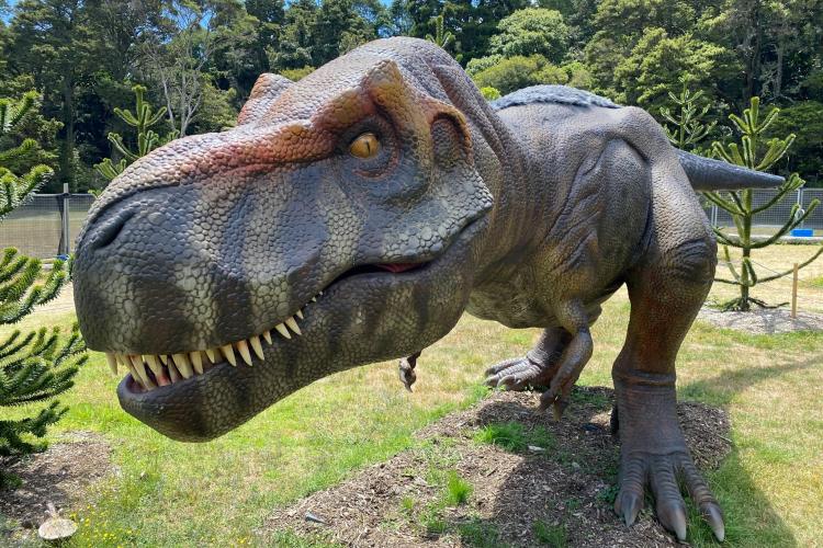 DinoFest
