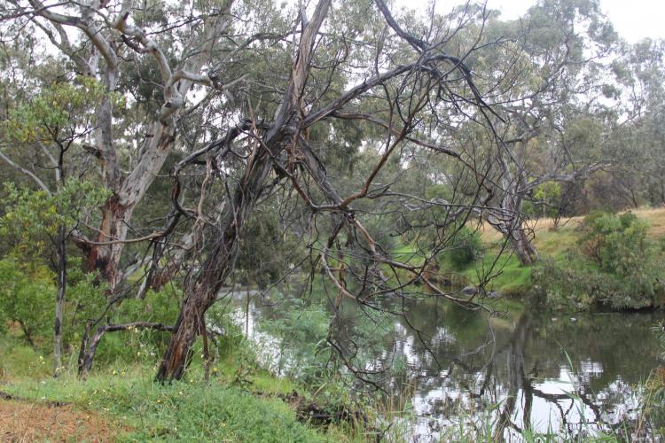 Werribee River - Visit Werribee & Surrounds