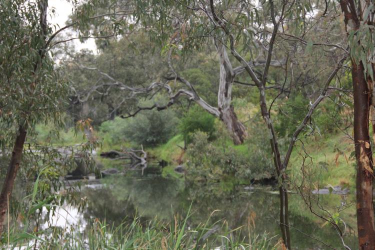Werribee River - Visit Werribee & Surrounds