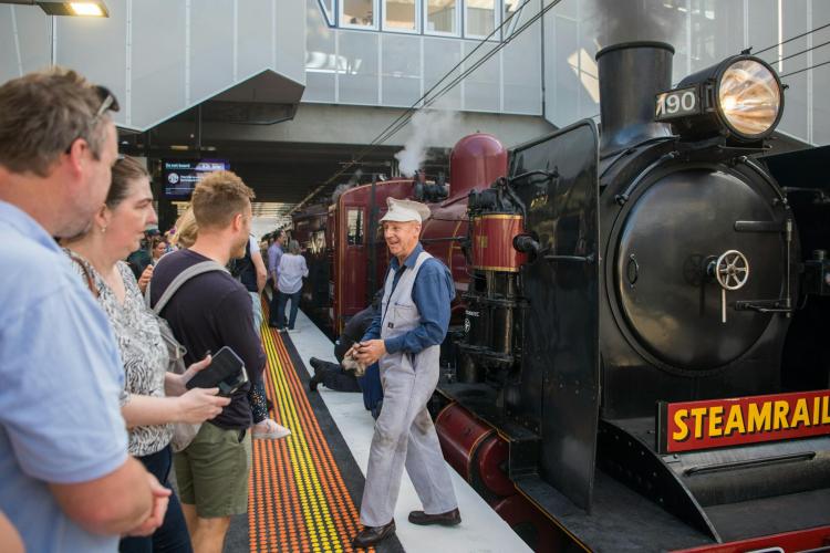 Steamrail Train Driver