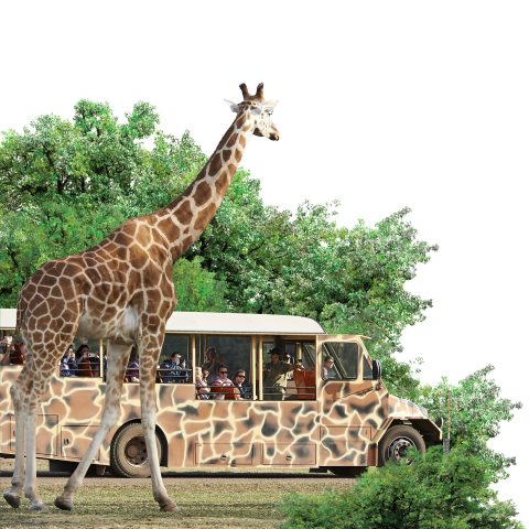Family Fun | Visit Werribee & Surrounds