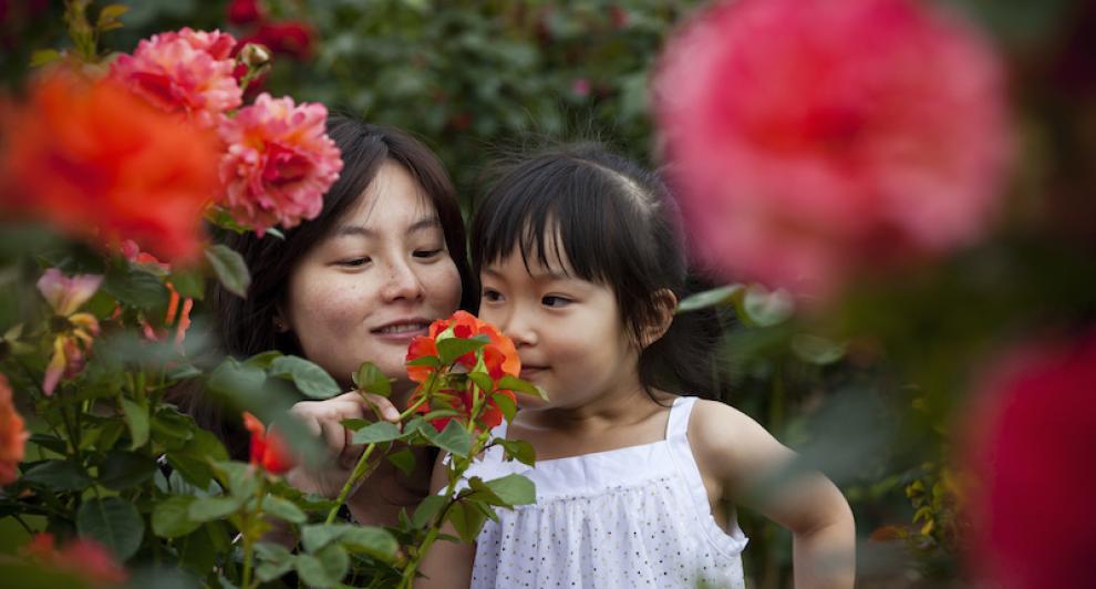 Family at Victoria State Rose and Garden Show smelling roses