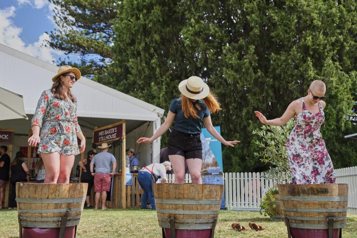 Three Girls standing in wine barrels crushing grapes