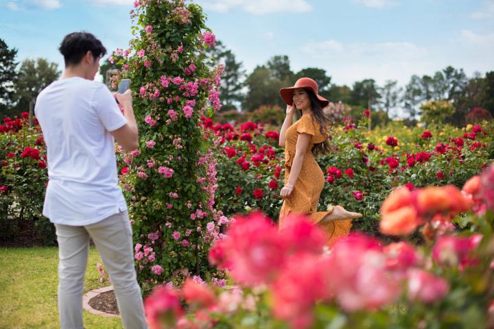 rose garden couple