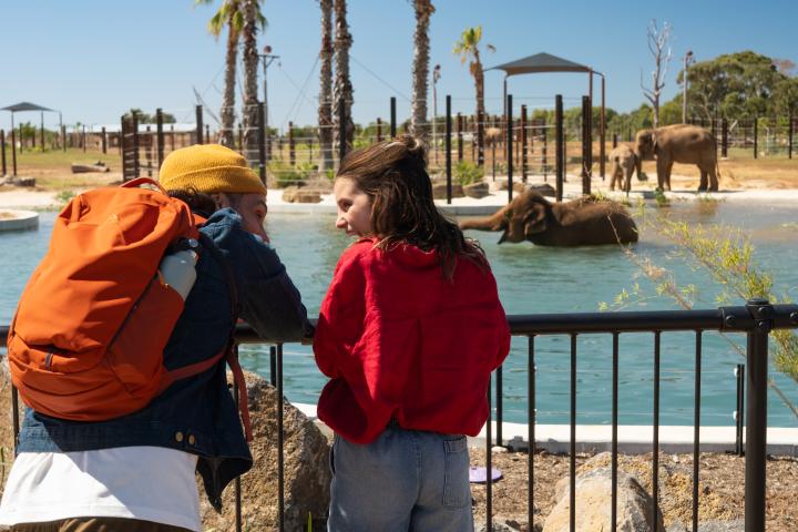 two people smiling at each other and looking at the elephants in the water
