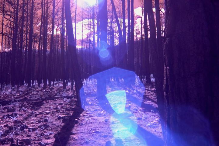 Landscapes: Technologies: Bodies
